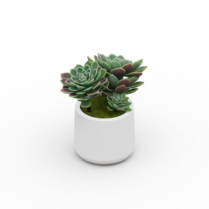 Petite plante Agave artificielle de 22 cm dans son pot rond en céramique blanche pour la décoration de bureau et maison.