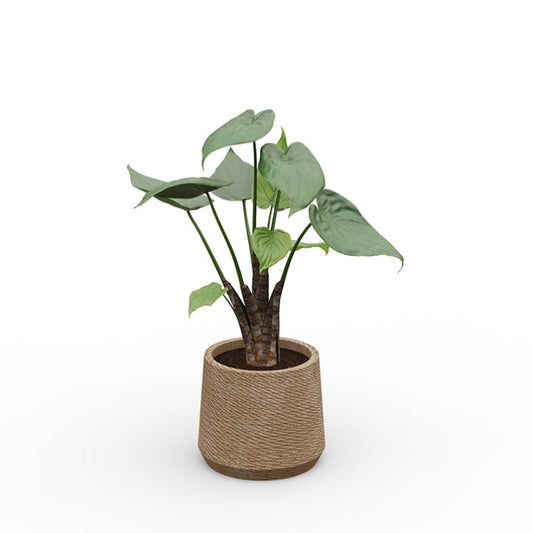 Plante artificielle Alocasia nouveauté avec grandes feuilles vertes dans un pot rond en corde tressée pour aménagement d'espaces B2B et B2C.