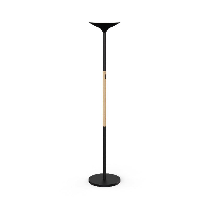 A black modern floor lamp with a black epoxy finish and a wood accent, featuring a LED light source at the top.