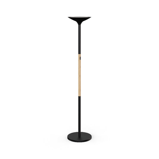 A black modern floor lamp with a black epoxy finish and a wood accent, featuring a LED light source at the top.