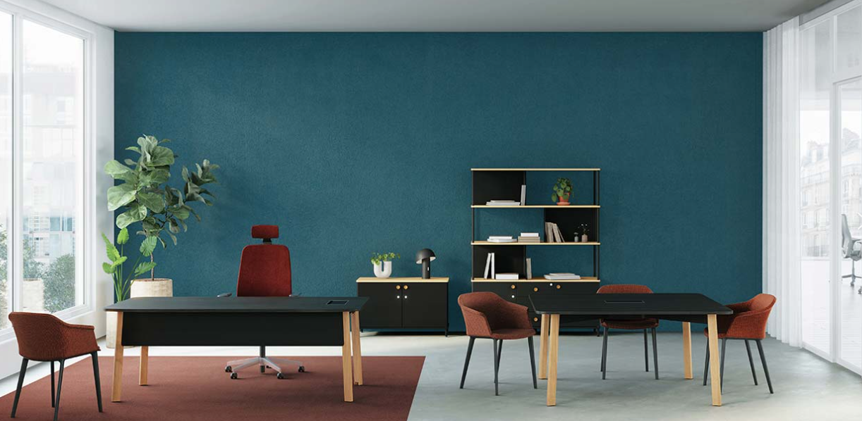 Karl Modern office interior with a blue wall, black desk, and red chairs.
