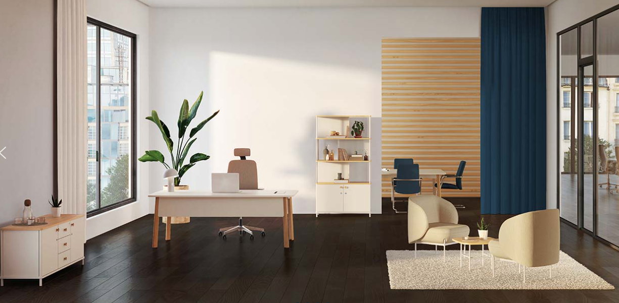 Karl Modern office interior with a desk, chairs, and decorative elements.