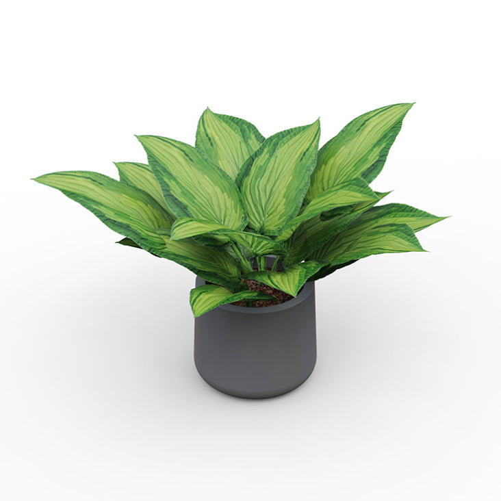 Petite plante Hosta artificielle de 22 cm dans son pot rond en céramique noire pour la décoration de bureau et maison.
