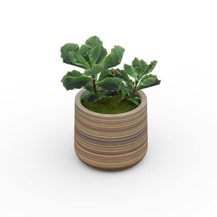 Petite plante grasse artificielle haut de gamme (succulente) en pot pour décoration minimaliste de bureaux et d'intérieurs privés.