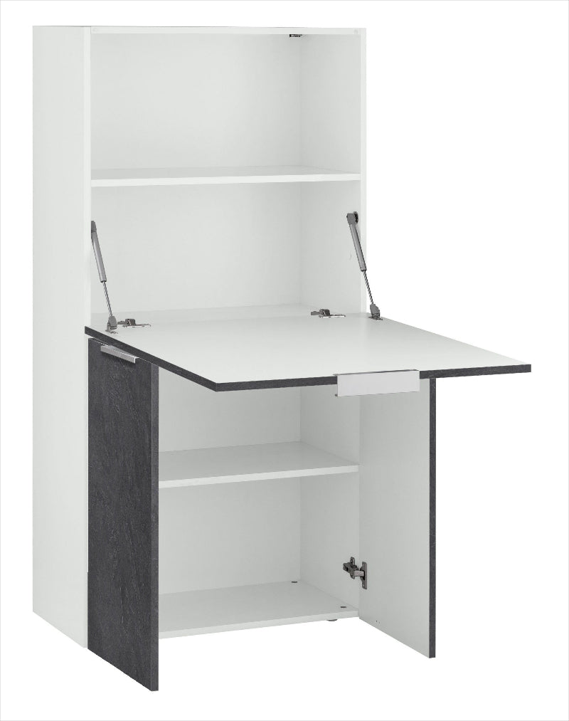 DALIA Desk by Web Furniture, featuring a spacious, clean rectangular work surface. This versatile desk is suitable for use as a primary computer workstation or professional home office table. White and report.